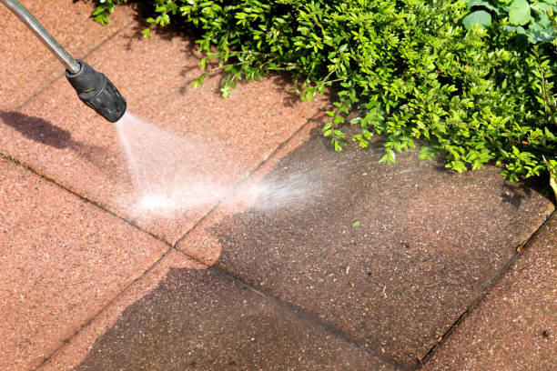 Best Pressure Washing Near Me  in Murrells Inlet, SC